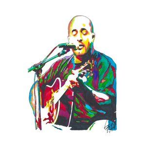 Aaron Lewis Staind Singer Guitar Rock Music Poster Print Wall Art 11x17